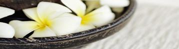 orchid in bowl